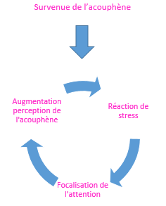 Cercle vicieux acouphenes 2